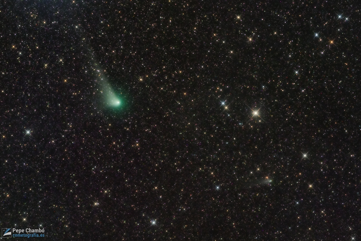Two Comets in Southern Skies