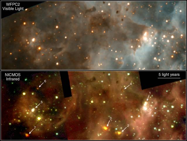 New Stars In 30 Doradus