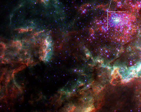 In the Center of 30 Doradus