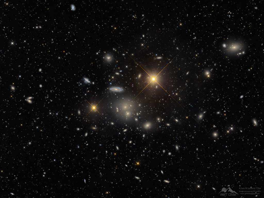 The Hydra Cluster of Galaxies