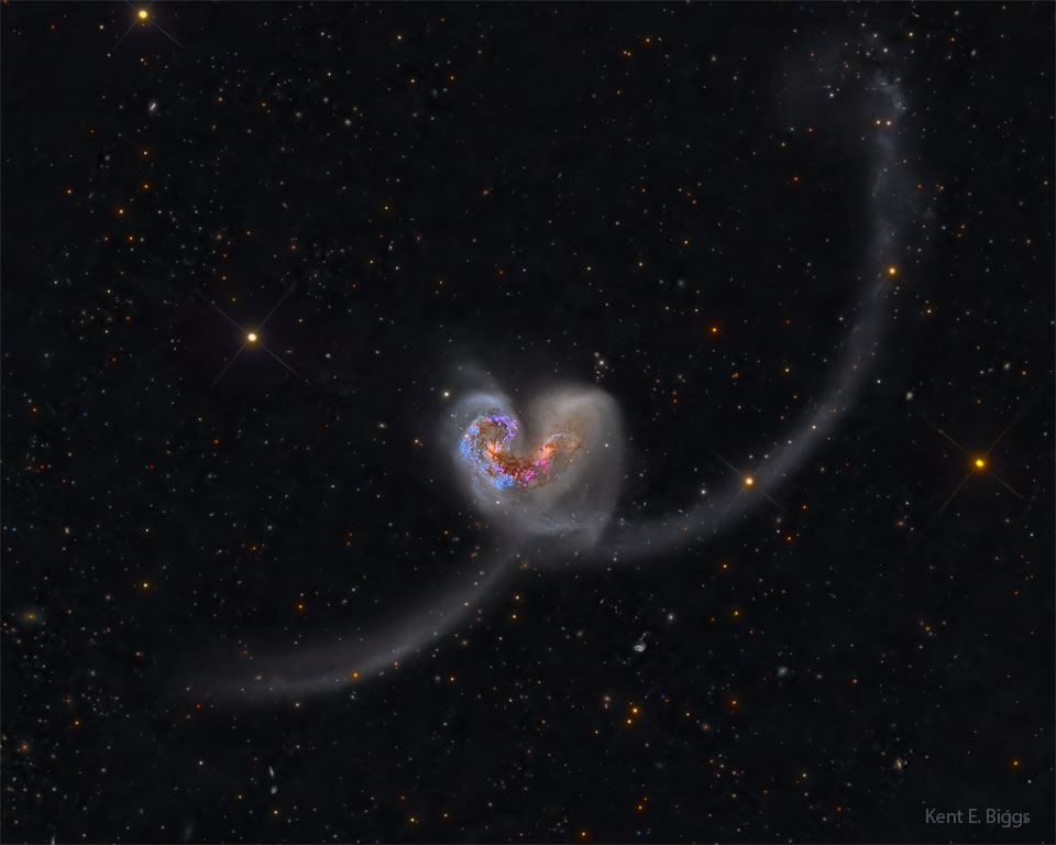 The Heart Shaped Antennae Galaxies
