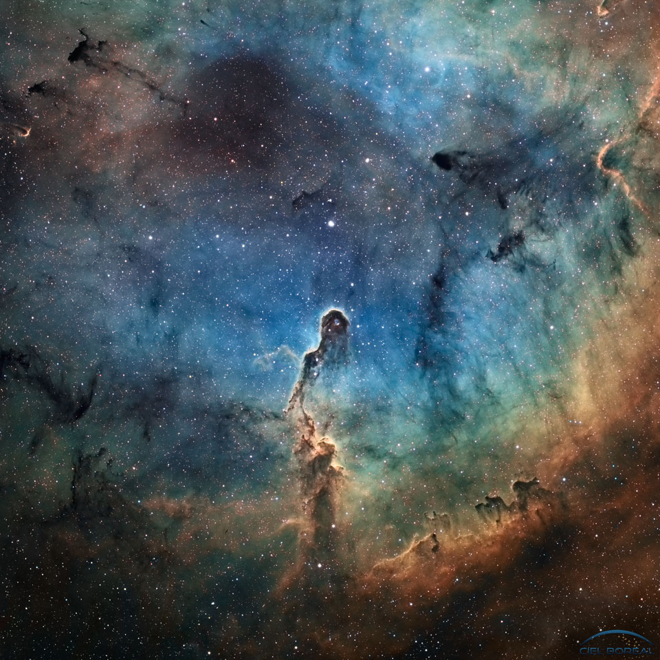 The Elephant's Trunk in IC 1396