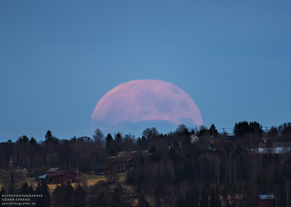 A Strawberry Moon