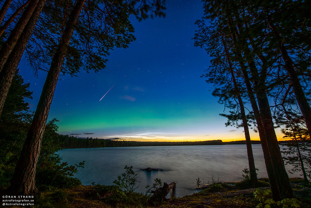 Perseid, Aurora, and Noctilucent Clouds