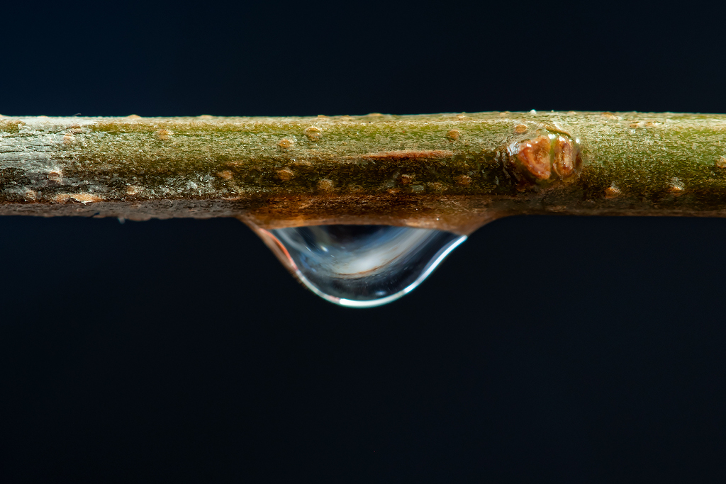 A Little Drop of Galaxy