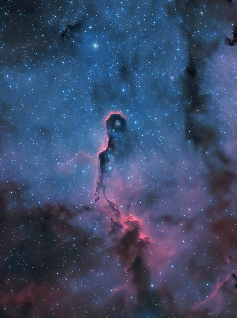 The Elephant's Trunk Nebula in Cepheus
