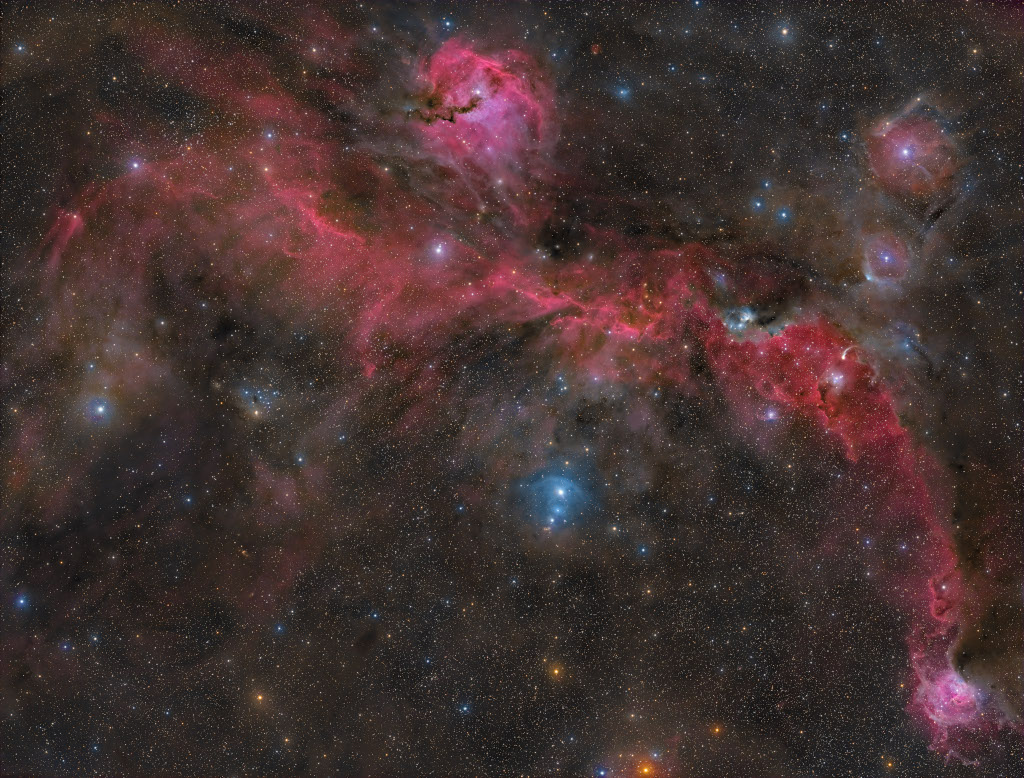 The Seagull Nebula