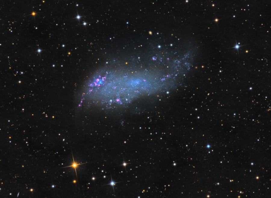 IC 2574: Coddington's Nebula