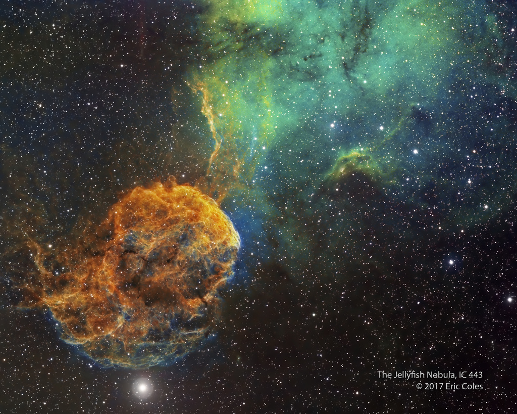 Sharpless 249 and the Jellyfish Nebula