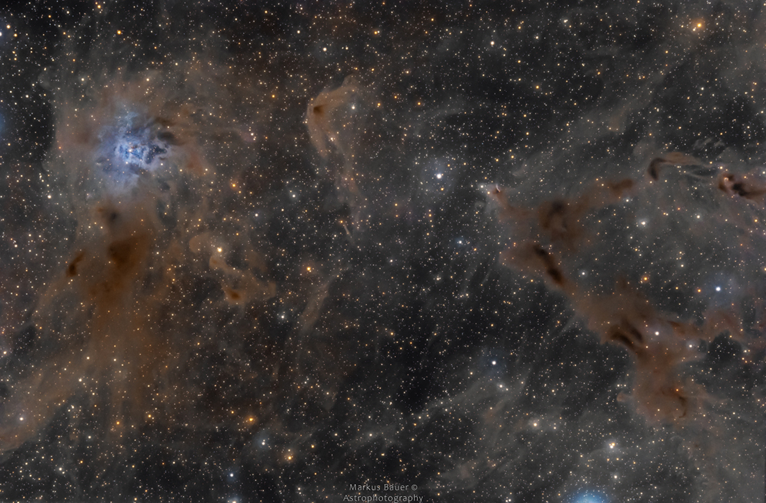 The Iris Nebula in a Field of Dust