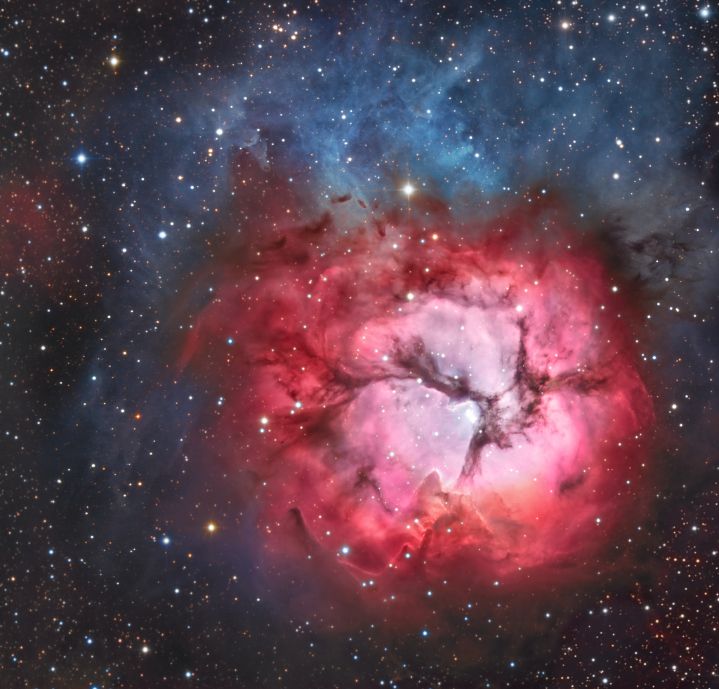 A Beautiful Trifid