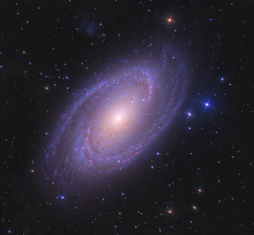 Bright Spiral Galaxy M81
