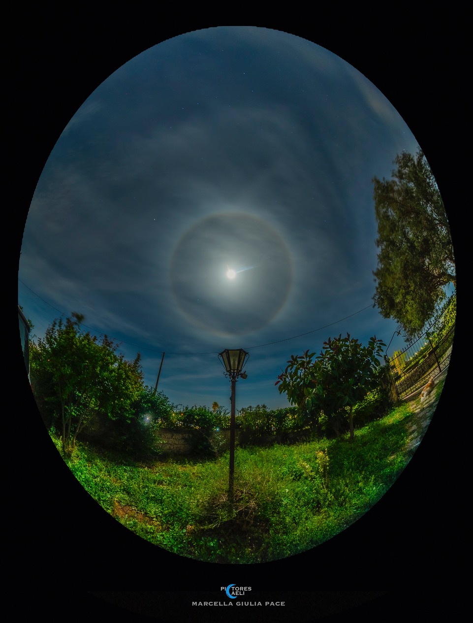 Sandy and the Moon Halo