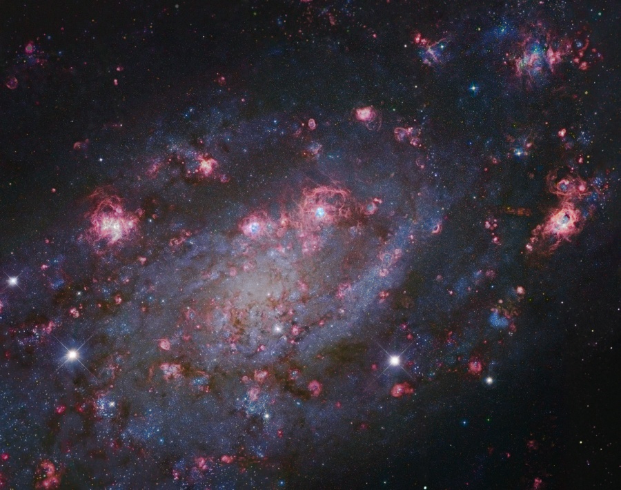 NGC 2403 in Camelopardalis