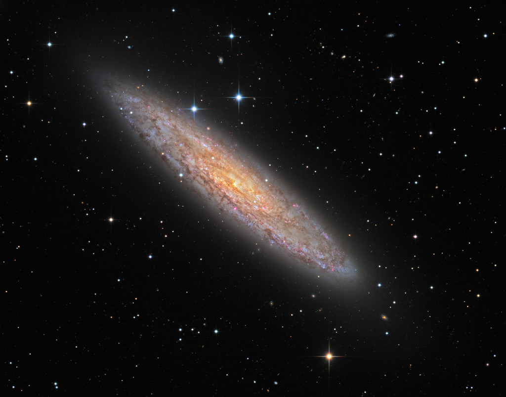 NGC 253: Dusty Island Universe