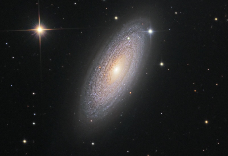 Spiral Galaxy NGC 2841