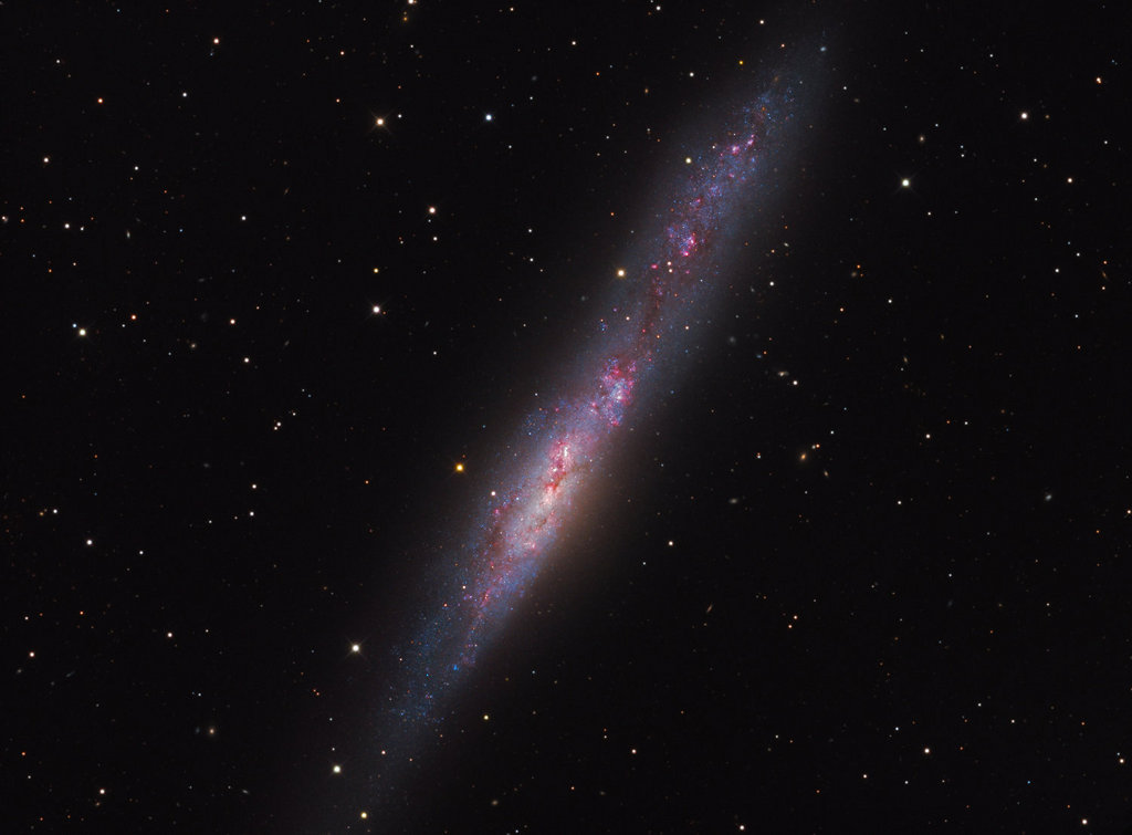 Irregular Galaxy NGC 55