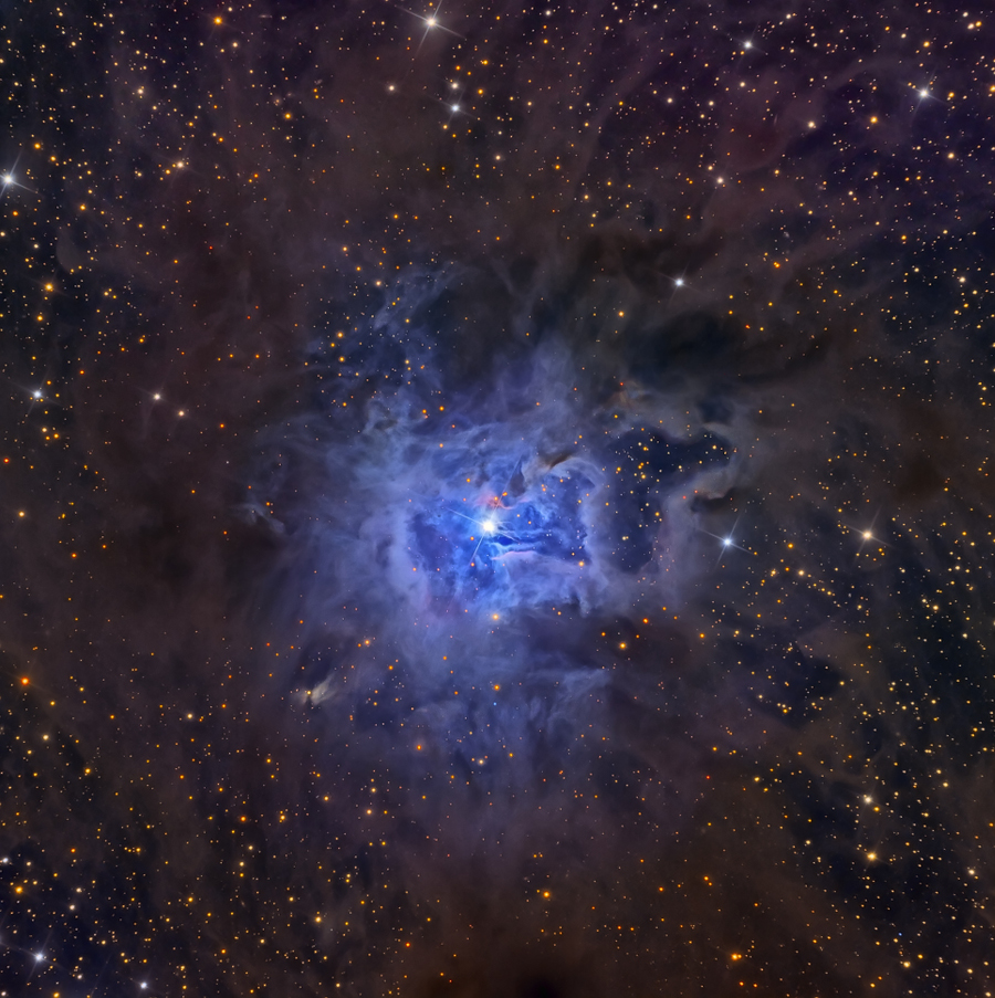 NGC 7023: The Iris Nebula