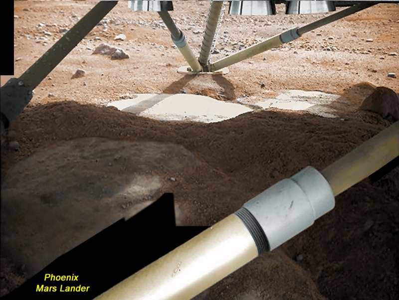 Phoenix and the Holy Cow