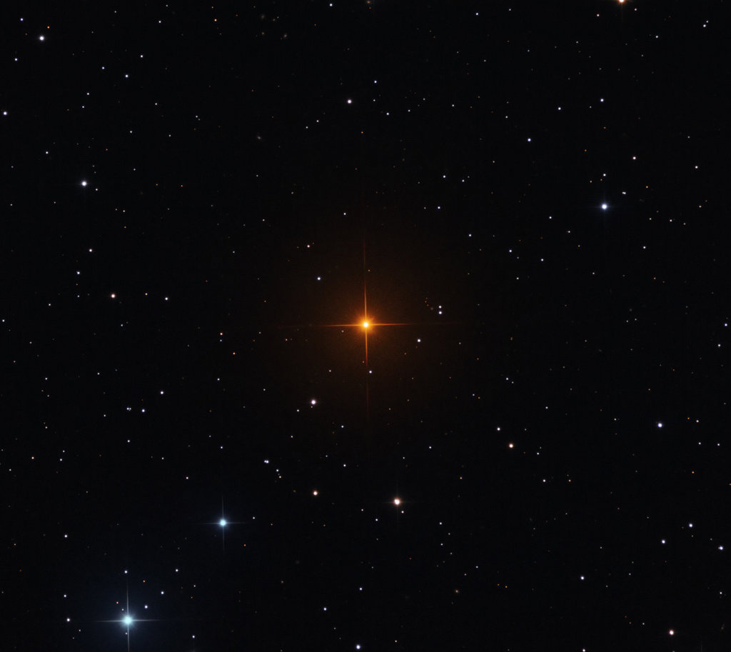 R Leporis: A Vampire's Star