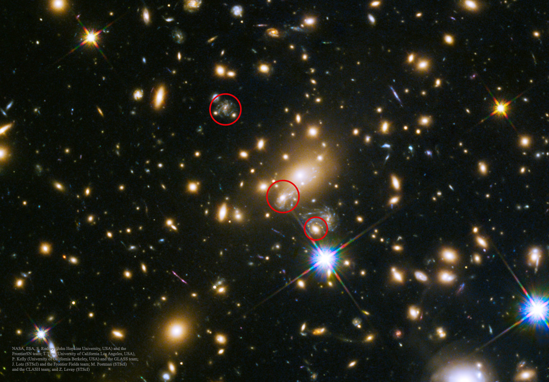 SN Refsdal: The First Predicted Supernova Image