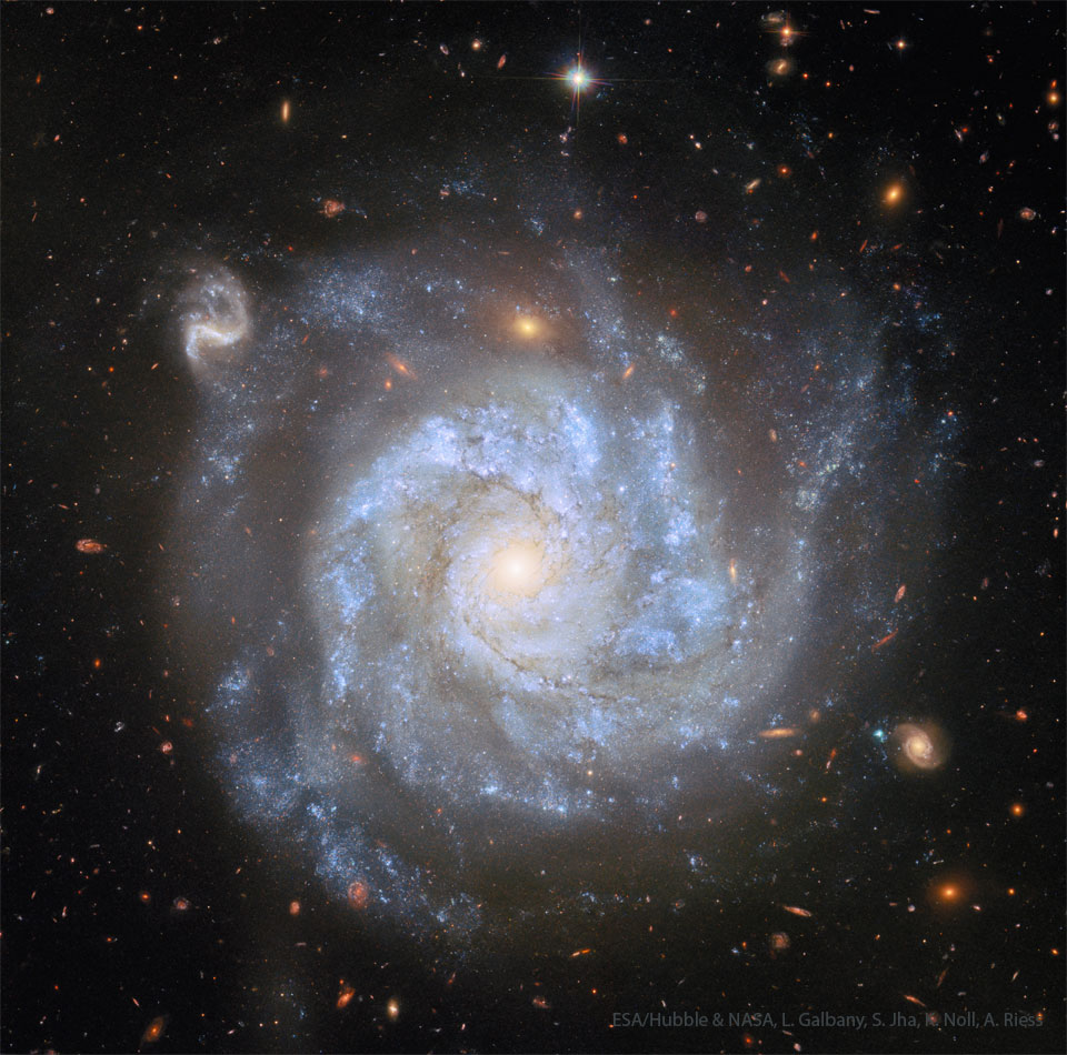 NGC 1309: A Useful Spiral Galaxy
