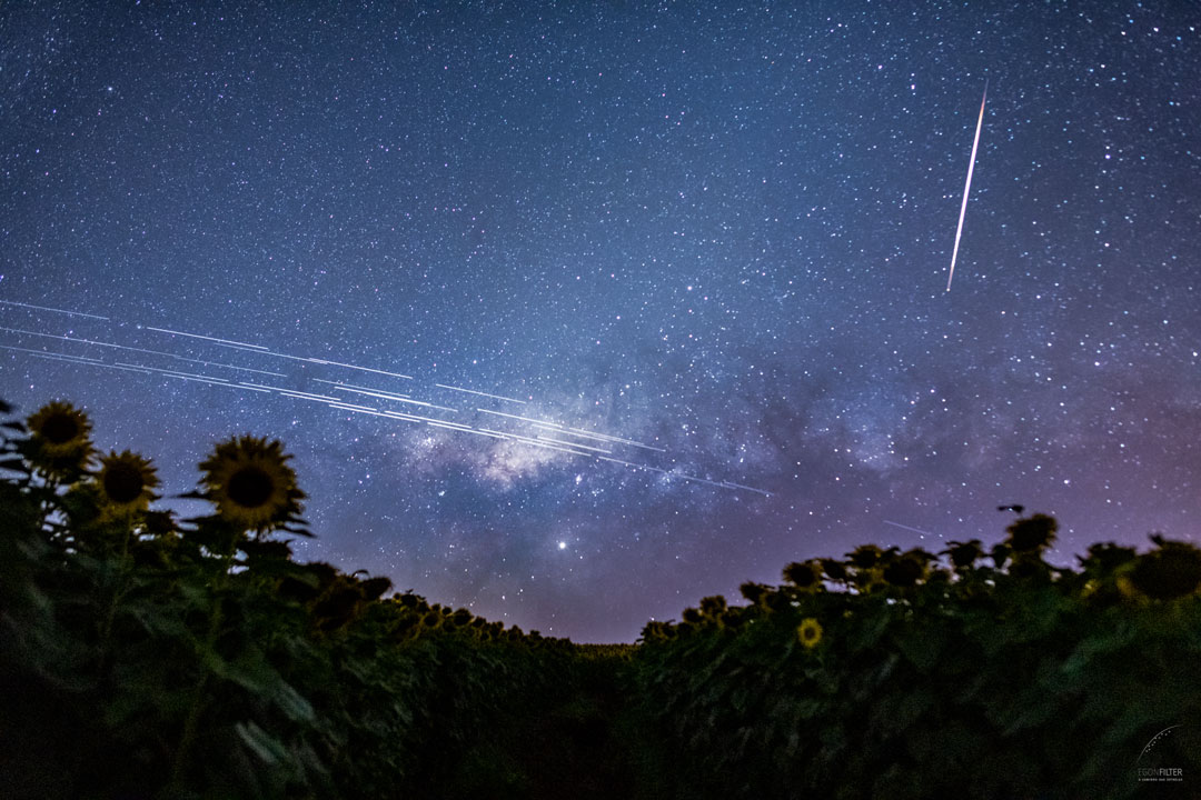 Starlink Satellite Trails over Brazil