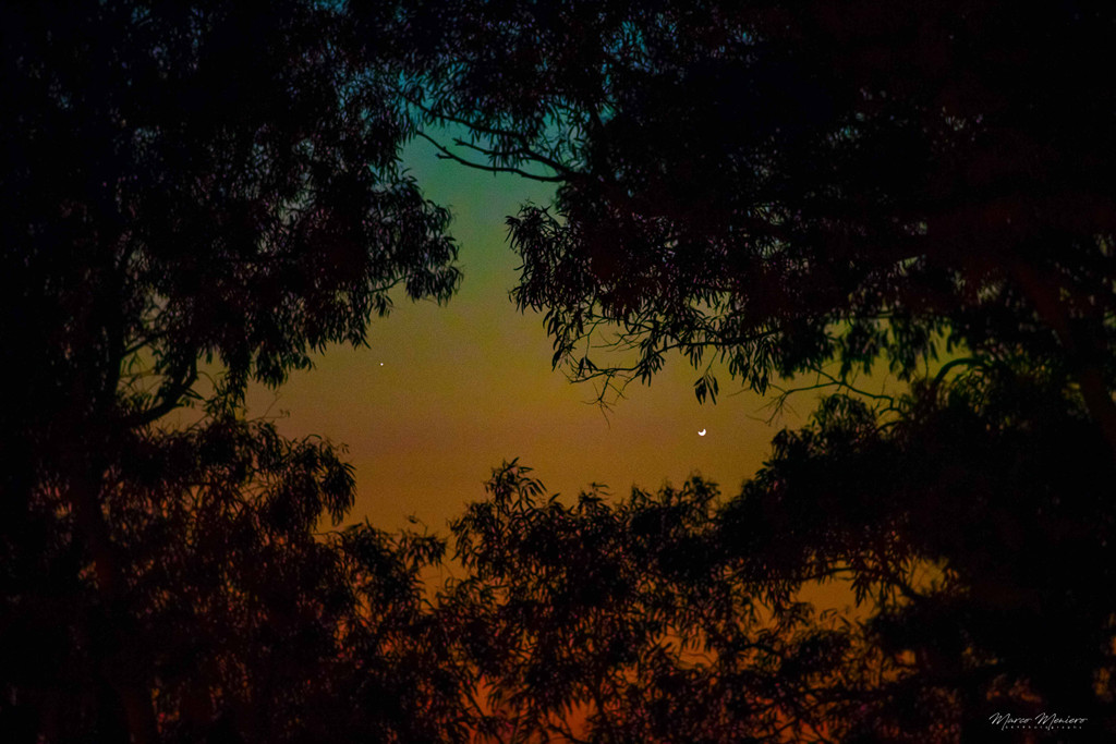 Mercury Meets Crescent Venus