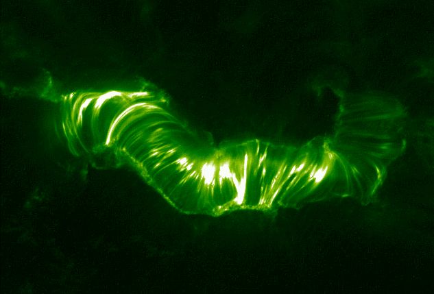 AR9077: Solar Magnetic Arcade