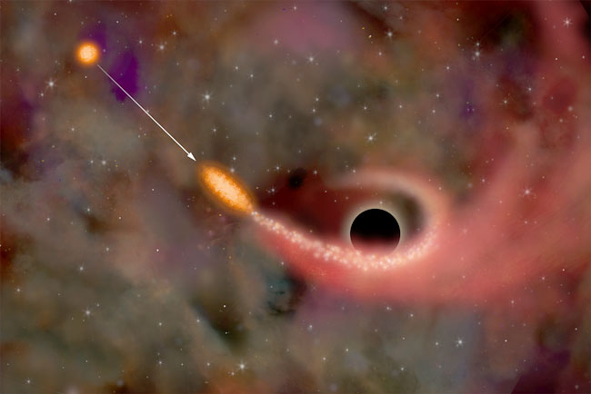 X-Rays Indicate Star Ripped Up by Black Hole
