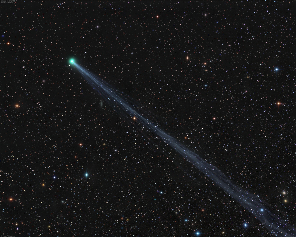 Long Tailed Comet SWAN