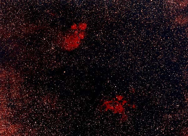 The Cat's Paw Nebula