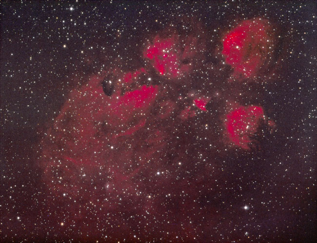 The Cat's Paw Nebula