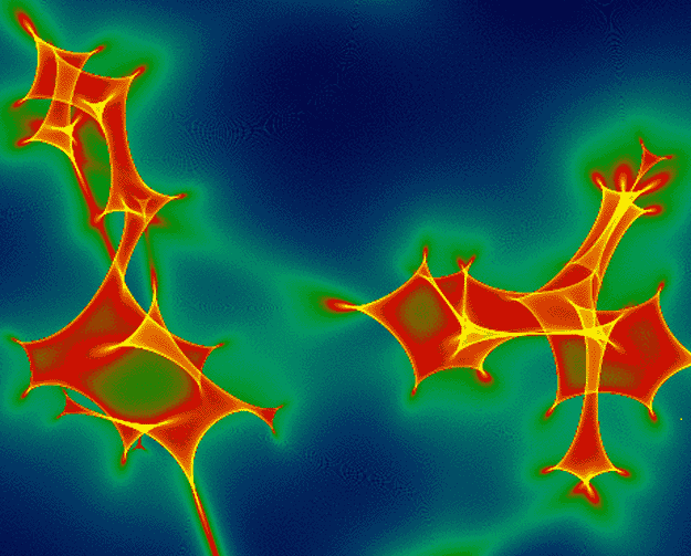 A Network of Microlensing Caustics