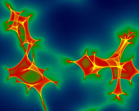 A Network of Microlensing Caustics