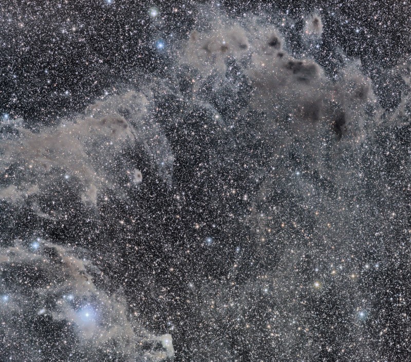 The Chameleon's Dark Nebulae