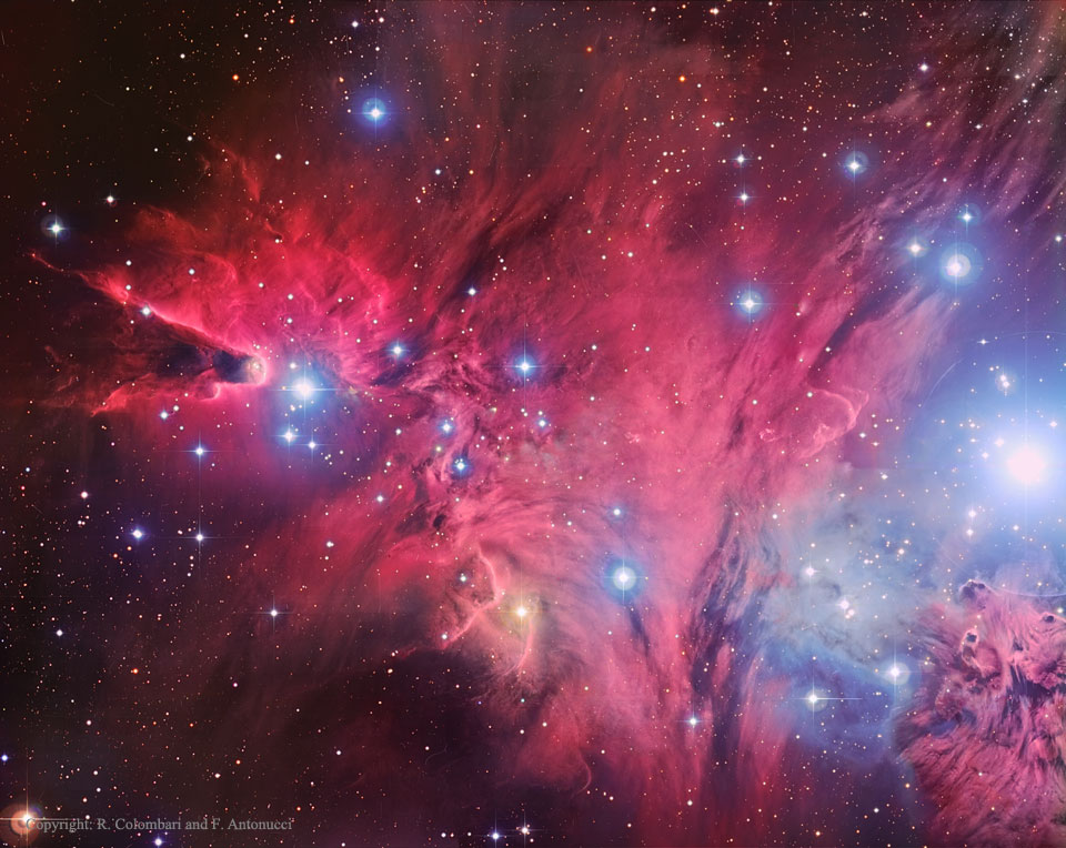 A Fox Fur, a Unicorn, and a Christmas Tree