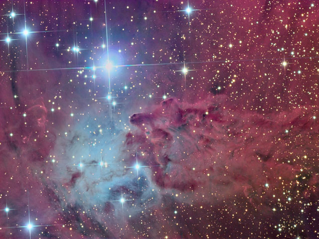 The Fox Fur Nebula