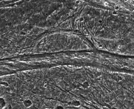 Mysterious Features on Ganymede
