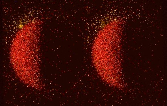 X-Ray Moon and X-Ray Star