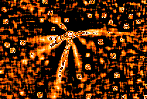 Seven Jets from Comet Hale-Bopp
Credit: