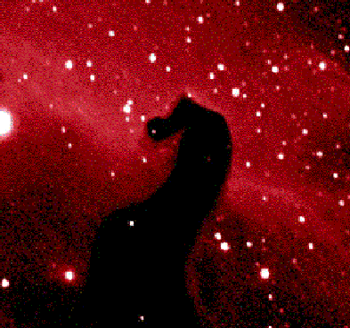 A Close-Up of the Horsehead Nebula 
Credit and Copyright: