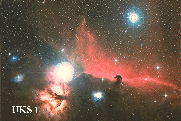 Orion's Horsehead Nebula