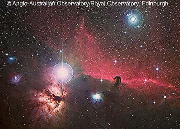 Orion's Horsehead Nebula