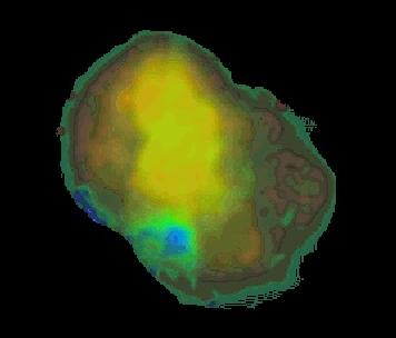 X-Rays From IC 443
Credit: