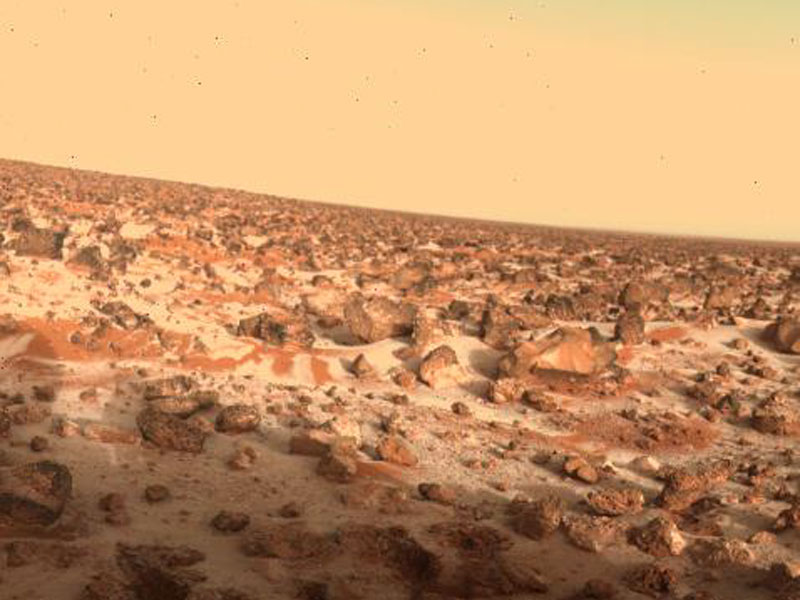 Could Hydrogen Peroxide Life Survive on Mars?