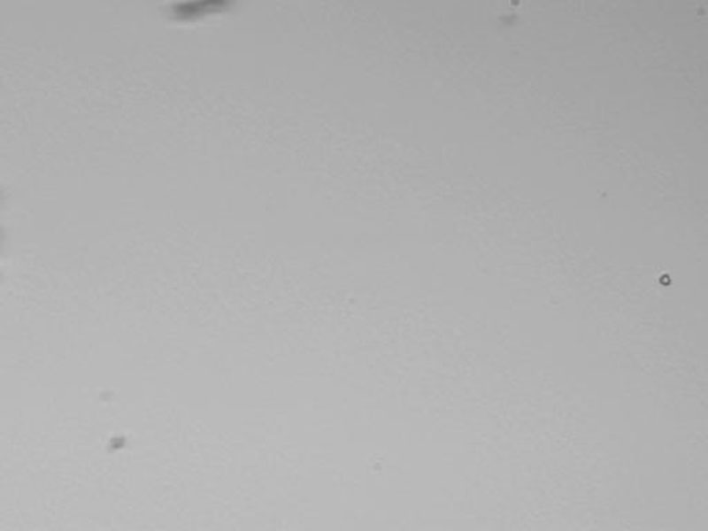 Help Search for Interstellar Dust