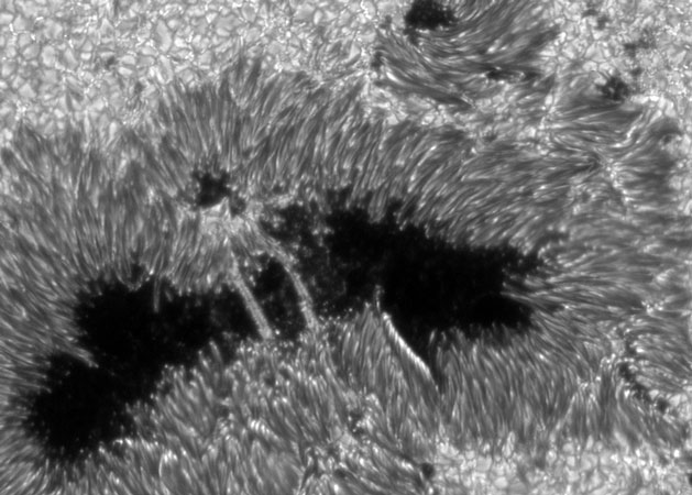 Light Bridges on the Sun