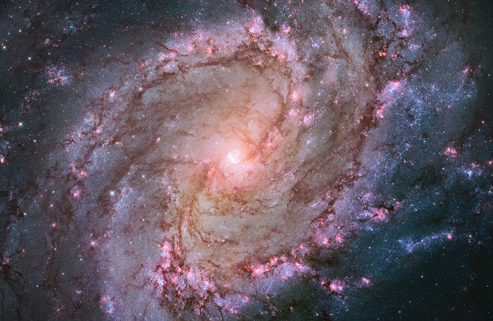 Spiral Galaxy M83: The Southern Pinwheel