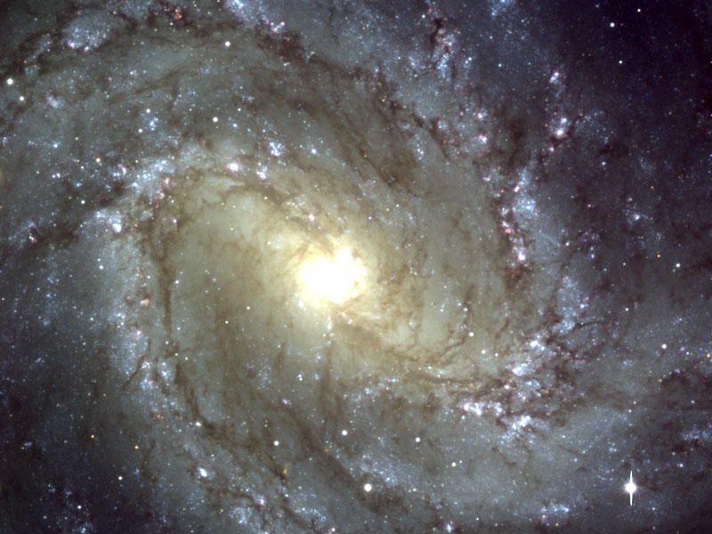 M83: The Southern Pinwheel Galaxy from VLT